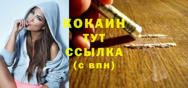 mdpv Бородино