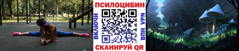 где можно купить   Горняк  Псилоцибиновые грибы мухоморы 